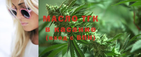 индика Наволоки