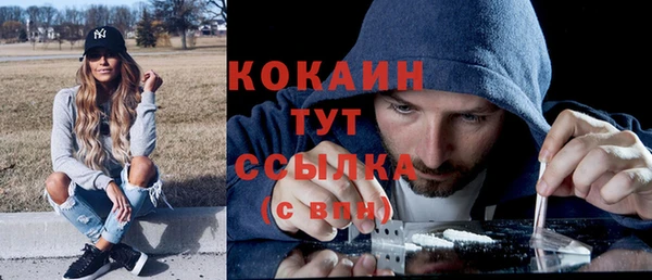 индика Наволоки